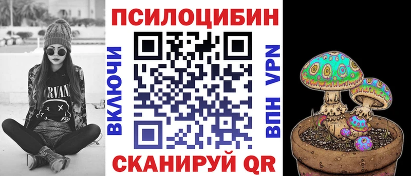 как найти закладки Грозный МЕГА ONION Галлюциногенные грибы Cubensis